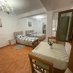Erzeni